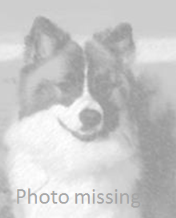 ~/Images/dogs/dog1.jpg